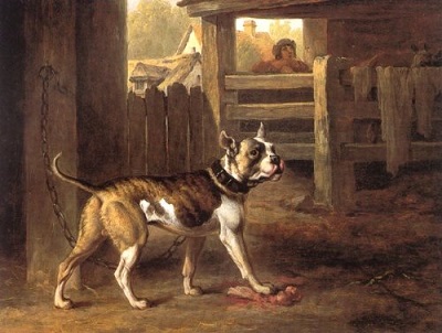 1803 bulldog by philip reinagle
